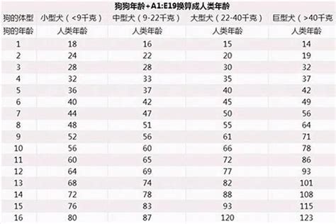 属狗的今年几岁|属狗的今年多大